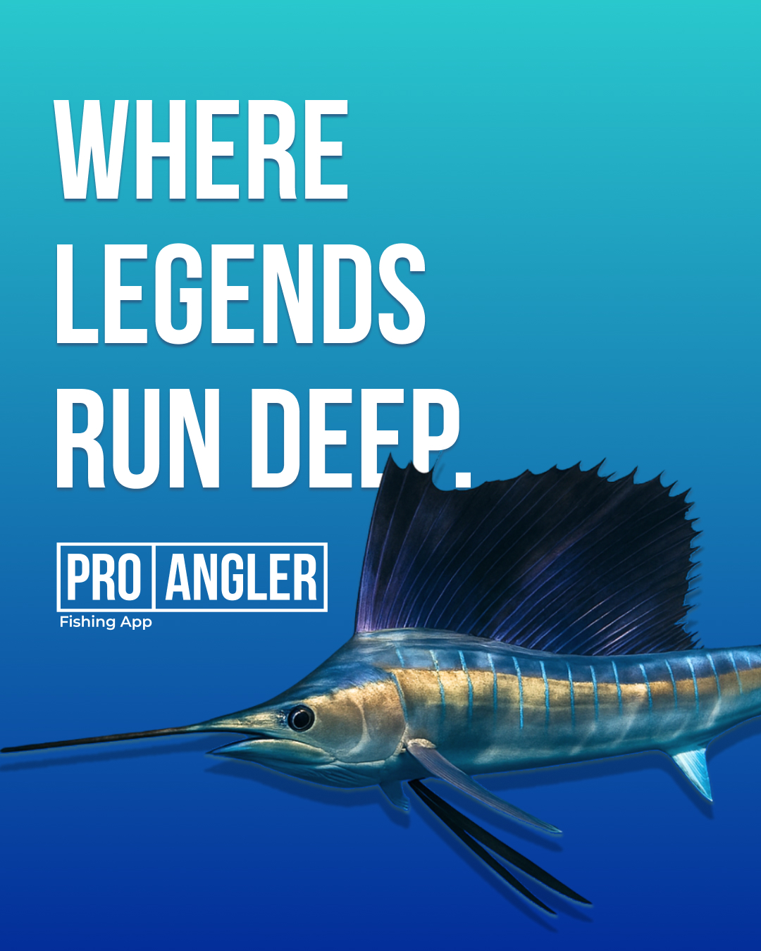 Pro Angler 7