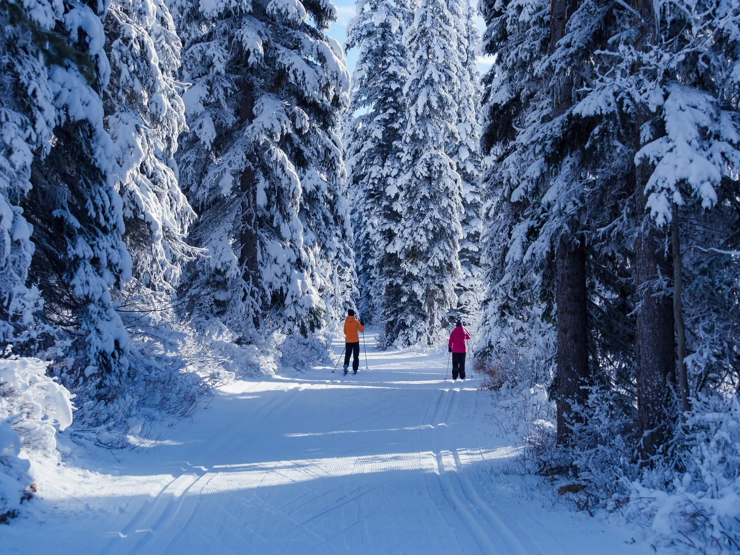 Dawn Mountain Nordic Centre — Golden Nordic Ski Club, Golden BC